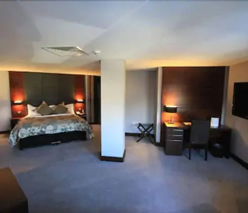 Deluxe Tek Büyük Yataklı Oda