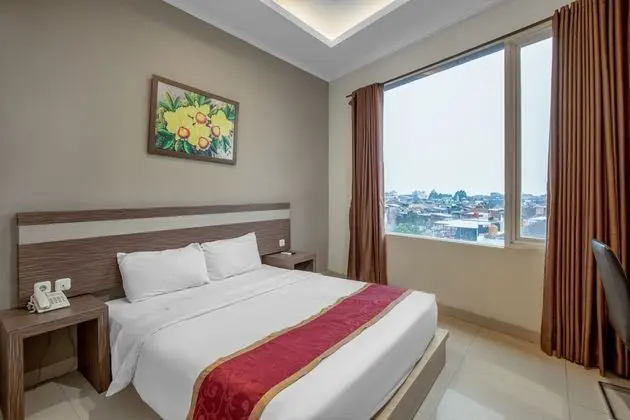 Deluxe Tek Büyük Yataklı Oda