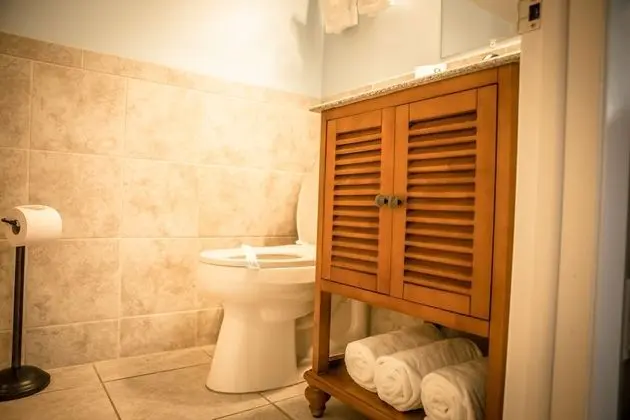 Deluxe Stüdyo
