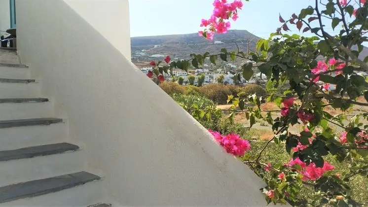 Standard Oda, Dağ Manzaralı