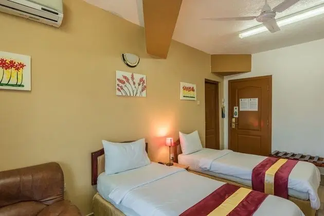 Deluxe Tek Büyük veya İki Ayrı Yataklı Oda, Sigara İçilmez