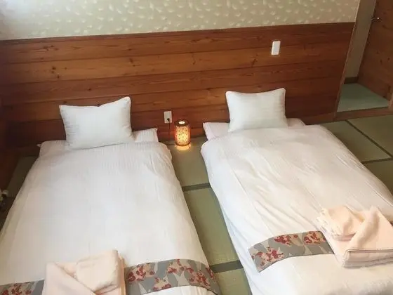 Standard Çatı Katı (Loft), Birden Çok Yatak, Dağ Manzaralı (1)