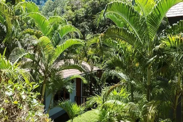 Cottage