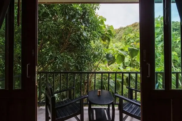 Deluxe Tek Büyük Yataklı Oda, Balkon