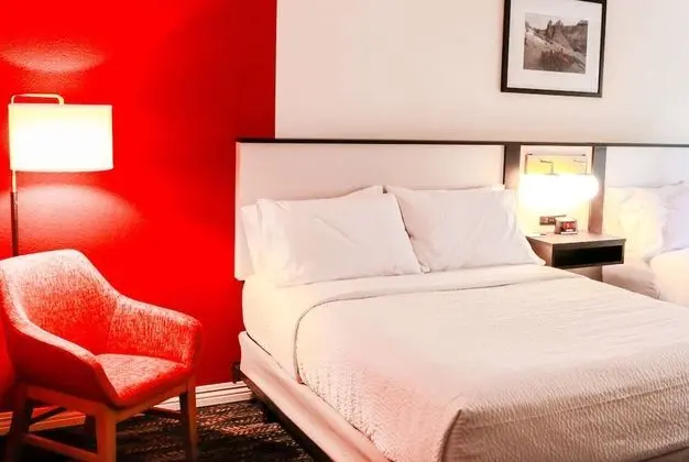 Standard Oda, 1 En Büyük (King) Boy Yatak, Sigara İçilmez (Fifth Floor)