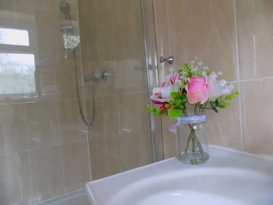 Ev, Özel Banyo, Bahçe Manzaralı