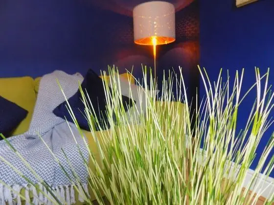 Ev, Özel Banyo, Bahçe Manzaralı