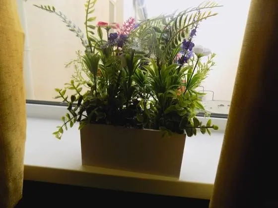 Ev, Özel Banyo, Bahçe Manzaralı