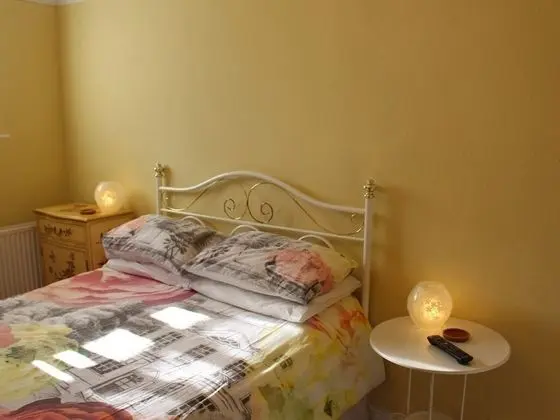 Deluxe Tek Büyük Yataklı Oda, Banyolu/Duşlu