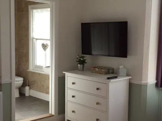 Superior Tek Büyük veya İki Ayrı Yataklı Oda, Banyolu/Duşlu (Room 3)