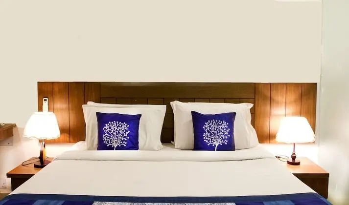 Deluxe Tek Büyük Yataklı Oda, 1 Yatak Odası, Sigara İçilebilir, Şehir Manzaralı