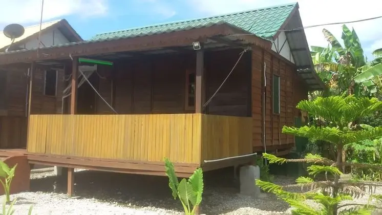 Traditional House
