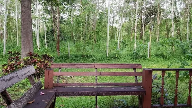 Bungalow
