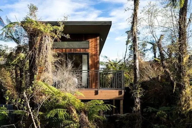 Deluxe Tek Büyük Yataklı Oda (Tree Hut)