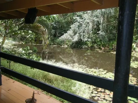 Basic Tek Büyük Yataklı Oda (Pond View)