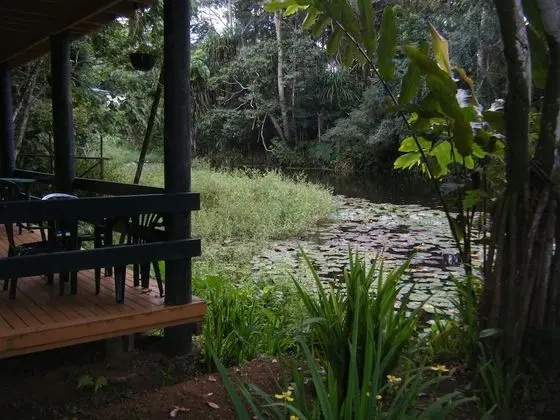 Basic Tek Büyük Yataklı Oda (Pond View)
