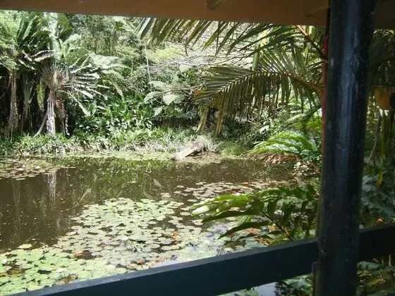 Basic Tek Büyük Yataklı Oda (Pond View)