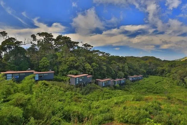 Luxury Dağ Evi, 1 Yatak Odası, Dağ Manzaralı, Dağ Yamacı