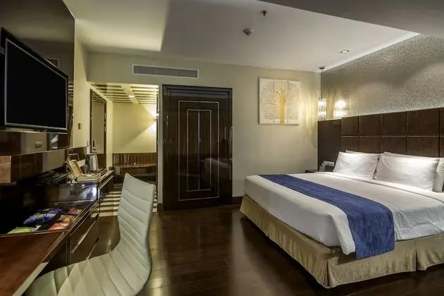 Executive Tek Büyük Yataklı Oda, Şehir Manzaralı