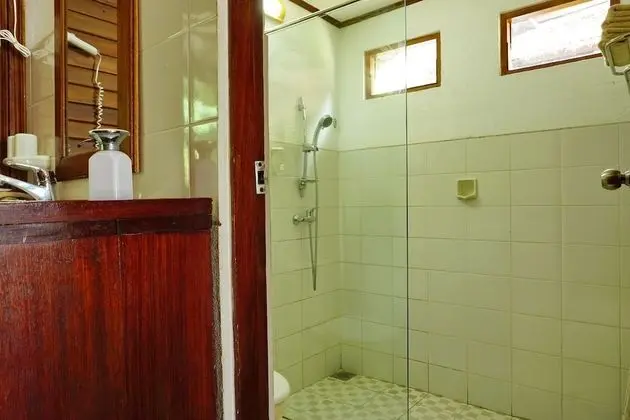Deluxe Tek Büyük veya İki Ayrı Yataklı Oda, Sigara İçilmez