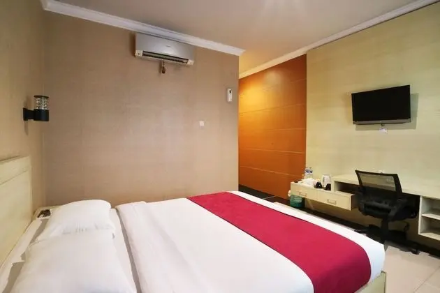 Superior Tek Büyük Yataklı Oda