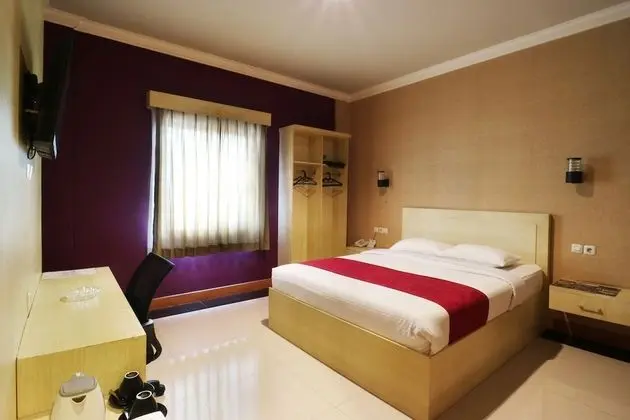 Superior Tek Büyük Yataklı Oda