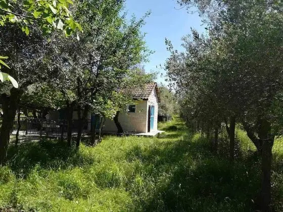 Bungalov, 1 Yatak Odası, Sigara İçilebilir, Balkon
