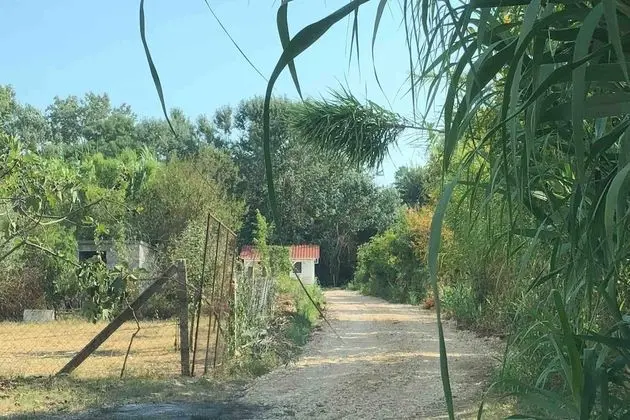 Bungalov, 1 Yatak Odası, Balkon