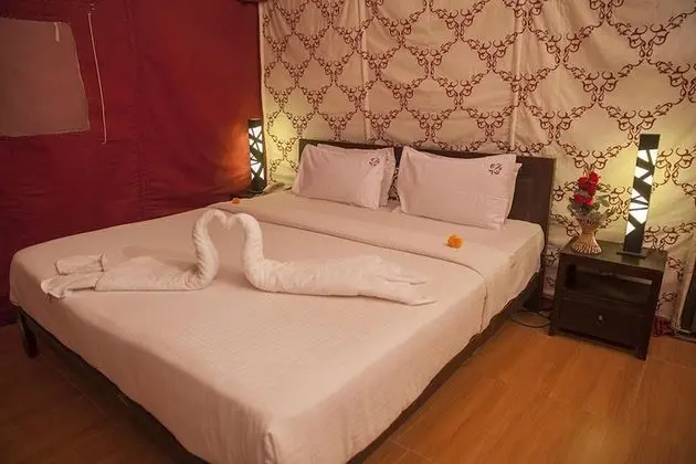 Deluxe Çadır, Birden Çok Yatak, Sigara İçilmez