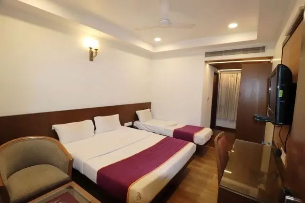 Deluxe Oda, 1 Yatak Odası, Şehir Manzaralı