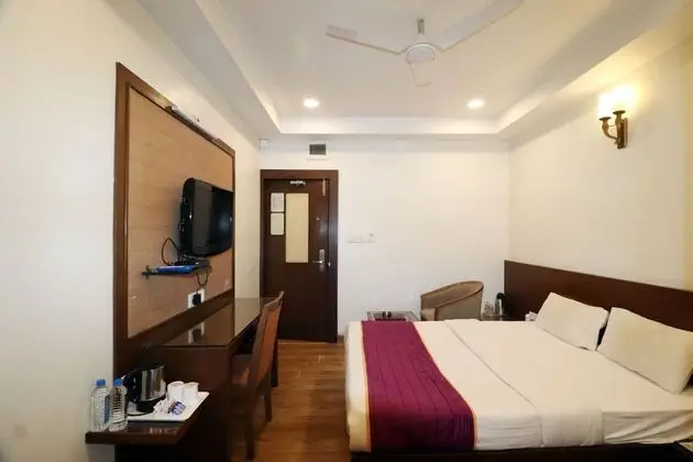 Deluxe Oda, 1 Yatak Odası, Şehir Manzaralı