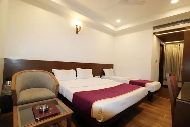 Deluxe Oda, 1 Yatak Odası, Şehir Manzaralı