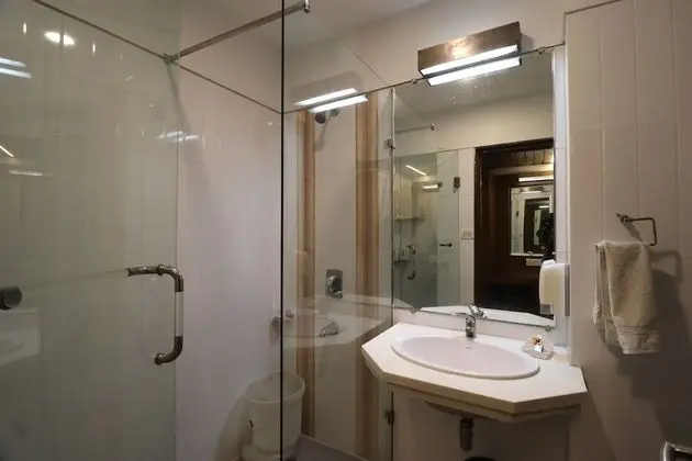 Deluxe Oda, 1 Yatak Odası, Şehir Manzaralı