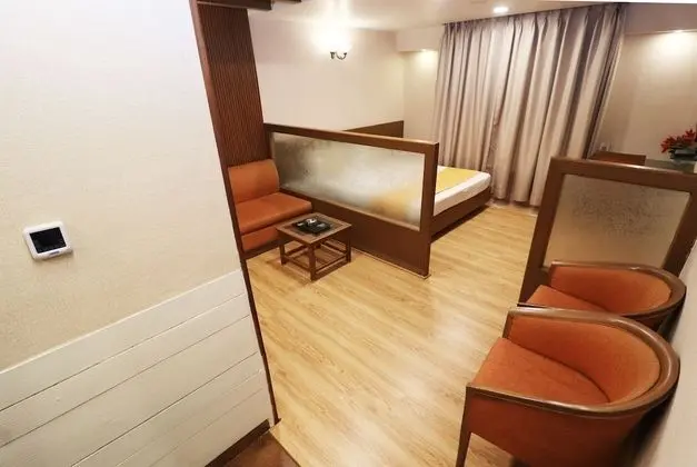Executive Süit, 1 Yatak Odası, Engellilere Uygun, Şehir Manzaralı