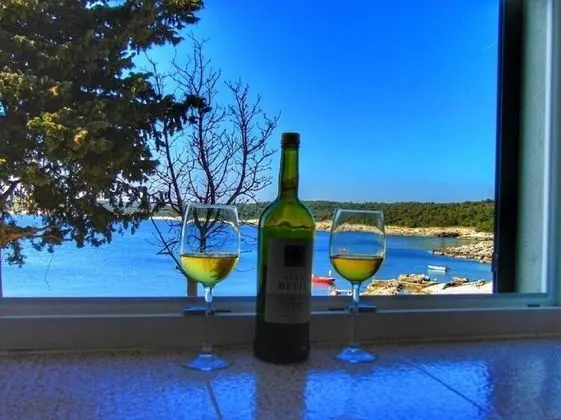 Apart Daire (Rajka - 20 m from beach - Rajka(4))