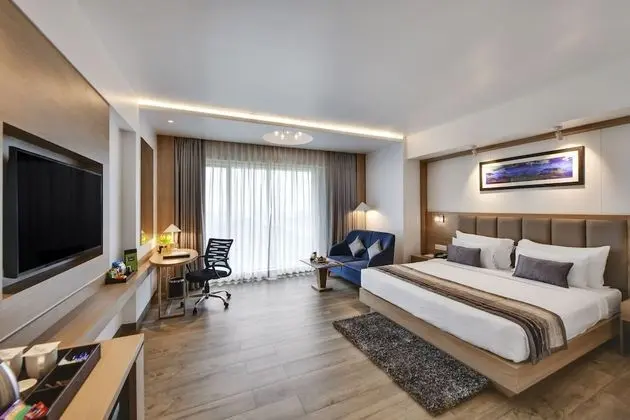 Fern Club Premium Room