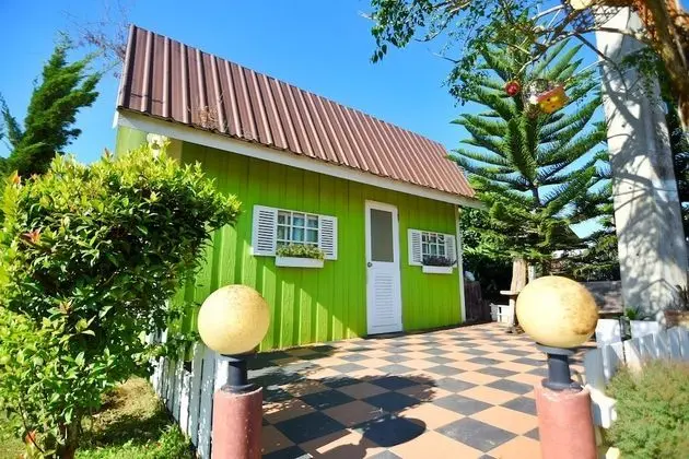 Standard House