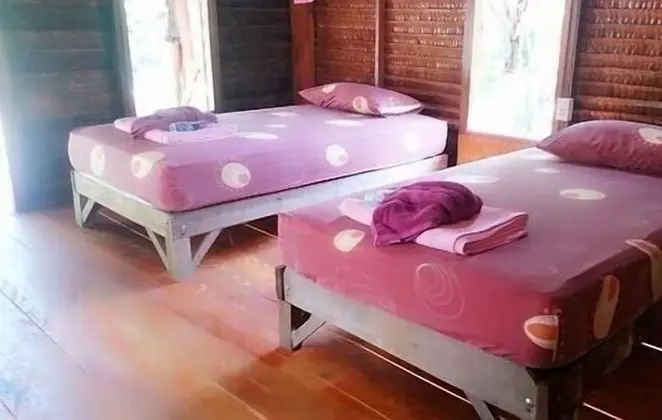 Standard Bungalov