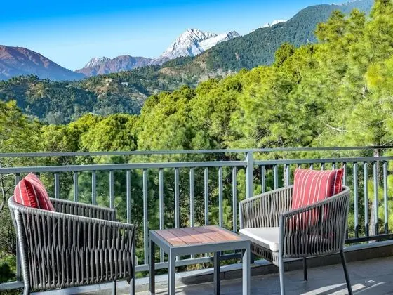 Premium Süit (Forest View)