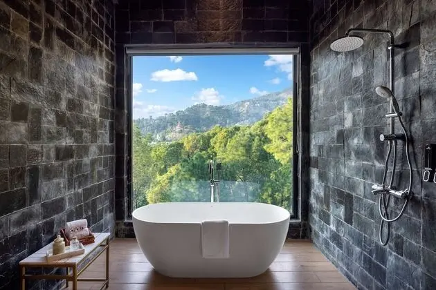 Premium Süit (Forest View)