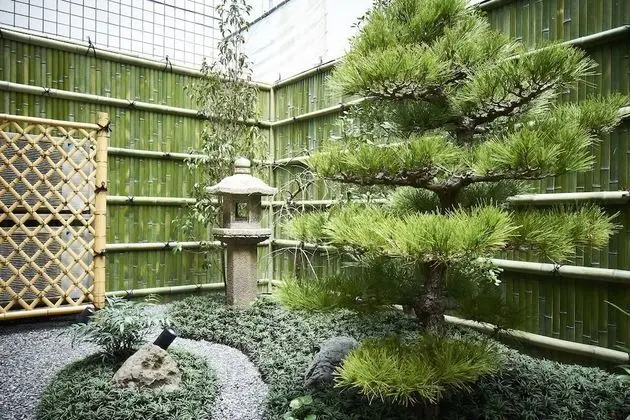 Traditional İki Ayrı Yataklı Oda, Sigara İçilmez, Teras