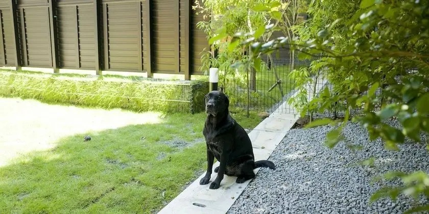 Basic Villa, Sigara İçilmez (North Wing/BBQ Terrace/Pet allowed)