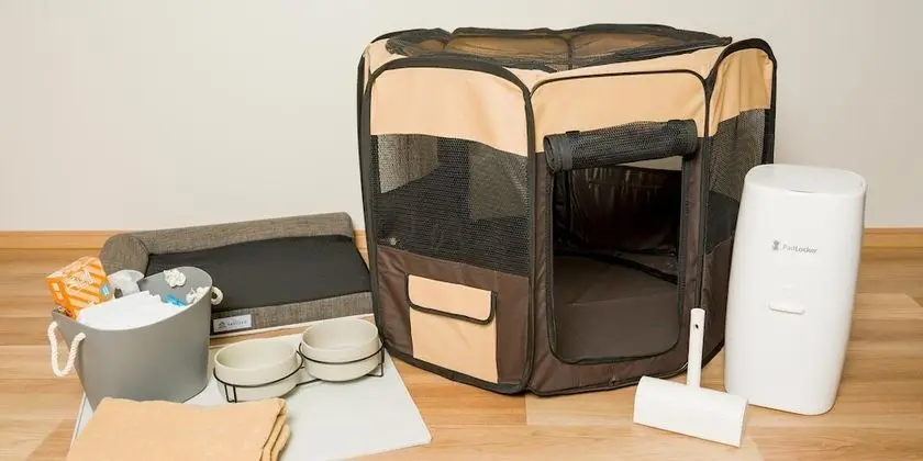 Standard Oda, Sigara İçilmez (Dog-friendly)