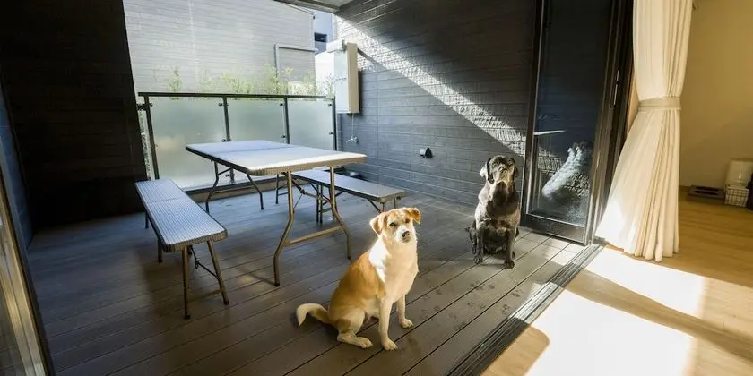 Oda, Sigara İçilmez (4persons)
