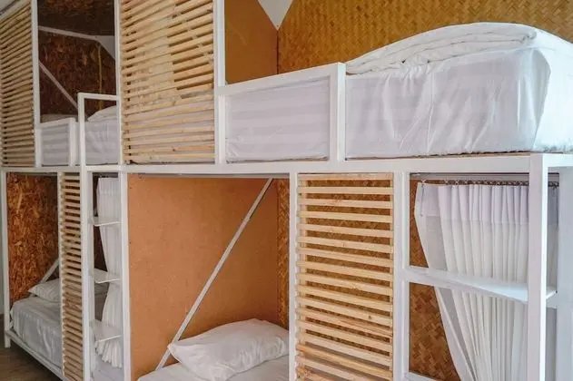 Bed in 8-Bed Mixed Dormitory Room