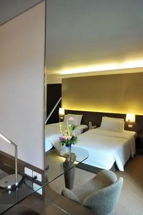 Superior Oda, 1 Çift Kişilik Yatak