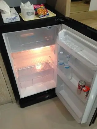 Mini Buzdolabı