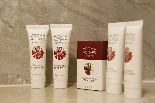 Deluxe Oda, 1 Büyük (Queen) Boy Yatak, Sigara İçilmez, Şehir Manzaralı