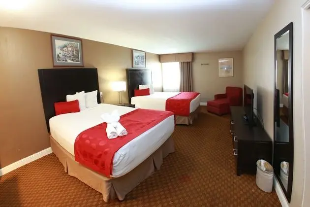Süit, 1 En Büyük (King) Boy Yatak, Sigara İçilmez (One-Bedroom)