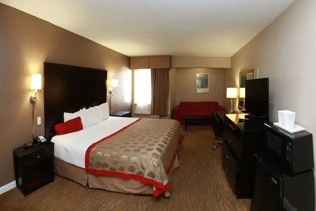 Süit, 1 En Büyük (King) Boy Yatak, Sigara İçilmez (One-Bedroom)